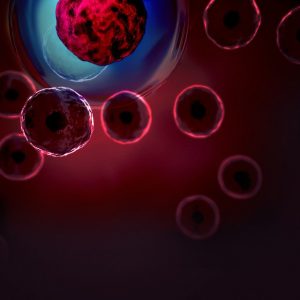 Coronavirus : la thérapie par cellules souches peut-elle être le remède ?